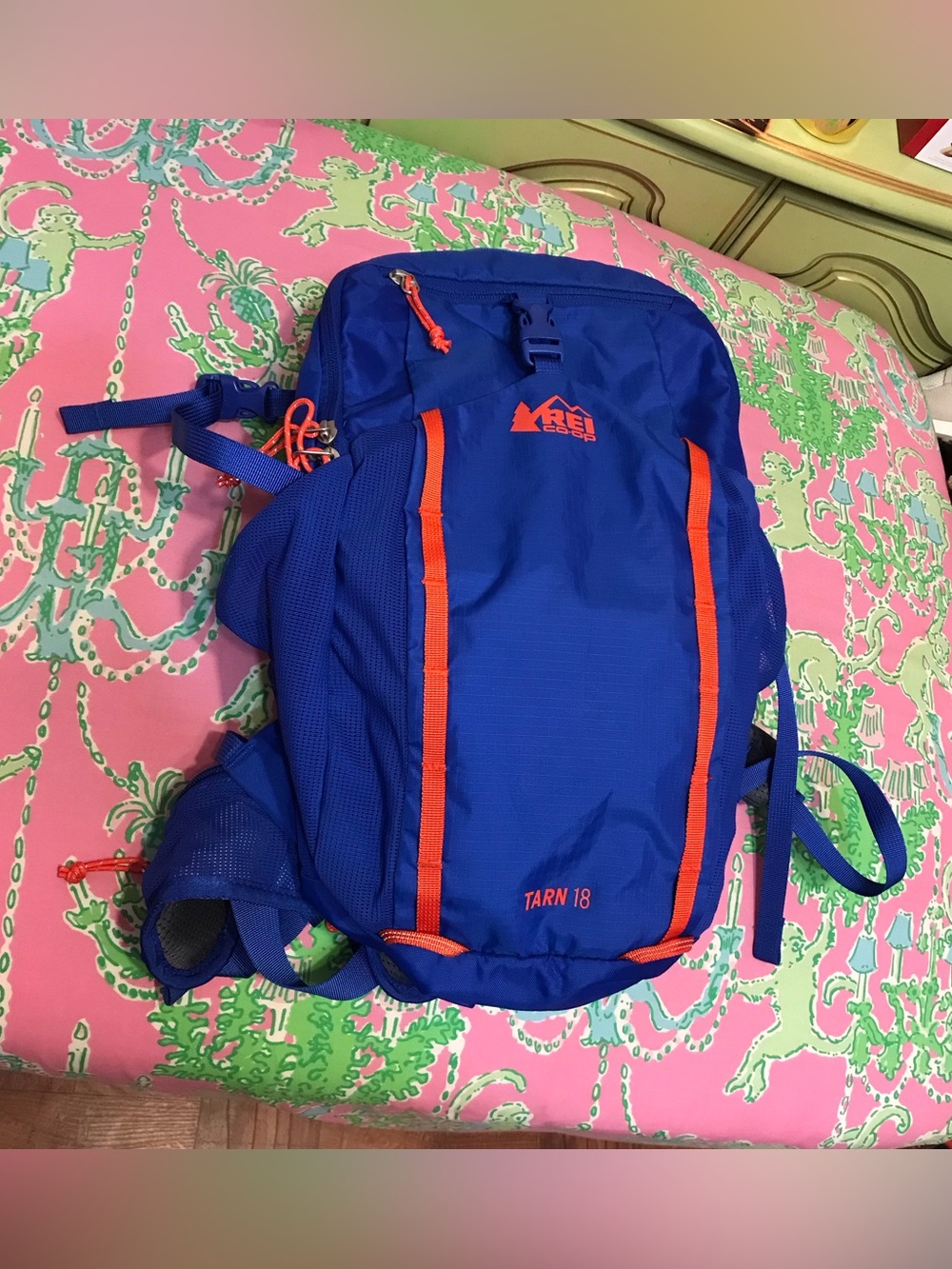 REI blue Tarn 18 Hiking Backpack